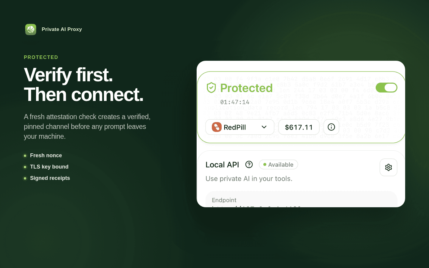 Private AI Proxy verifies the service before enabling protection and forwarding agent traffic.