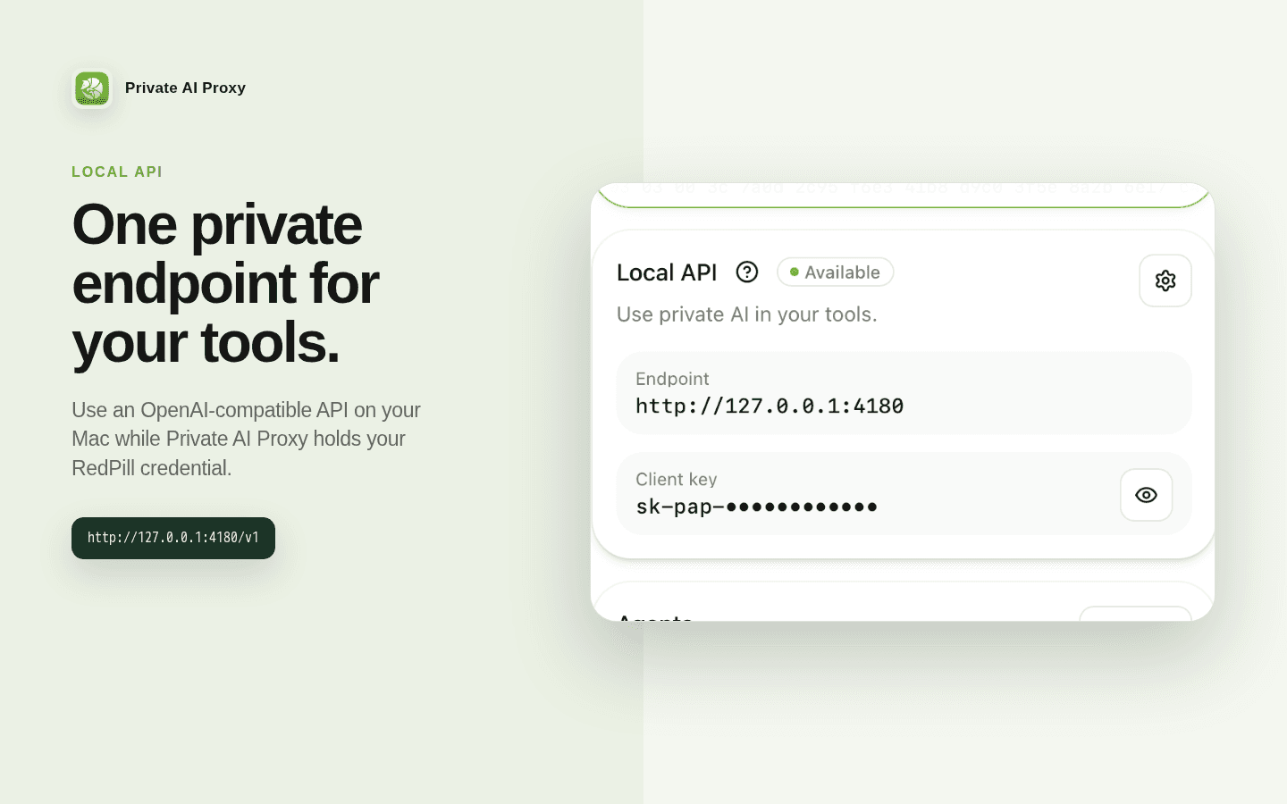 The Local API provides a loopback endpoint and masked local key for compatible tools.